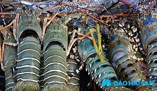 Mua nguyên liệu nấu lẩu giao nhanh 2h tại TPHCM