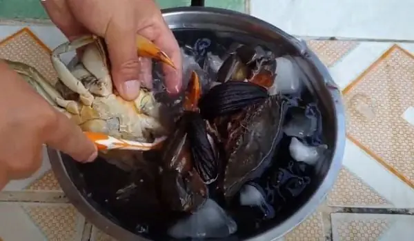 cách nấu lẩu cua biển cách nấu lẩu cua biển