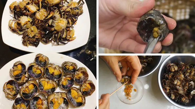 cách nấu lẩu cua đồng mồng tơi cách nấu lẩu cua đồng mồng tơi