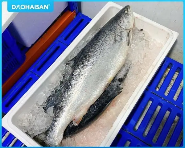 Cách Nấu Lẩu Đầu Cá Thơm Ngon Chuẩn Vị Tại Nhà