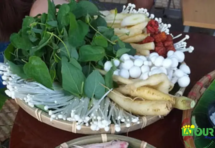 Cách Nấu Lẩu Gà Lá Sâm Dây Thơm Ngon, Bổ Dưỡng Ngay Tại Nhà Cách Nấu Lẩu Gà Lá Sâm Dây Thơm Ngon, Bổ Dưỡng Ngay Tại Nhà