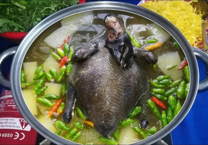 cách nấu lẩu gà ngon