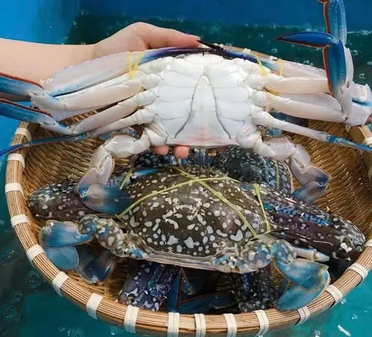 Hướng Dẫn Cách Nấu Lẩu Ghẹ Măng Chua Thơm Ngon Hấp Dẫn