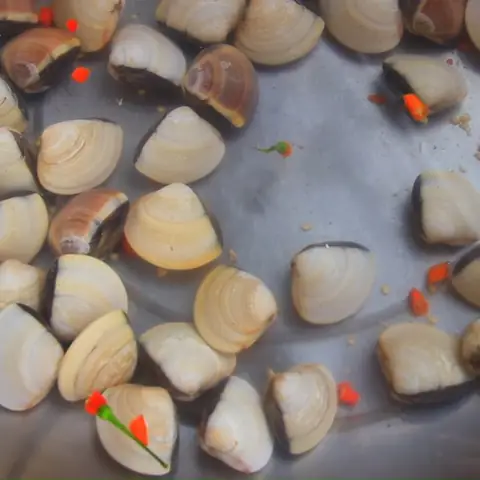 Cách Nấu Lẩu Hải Sản Hàn Quốc Chuẩn Vị, Đậm Đà Tại Nhà