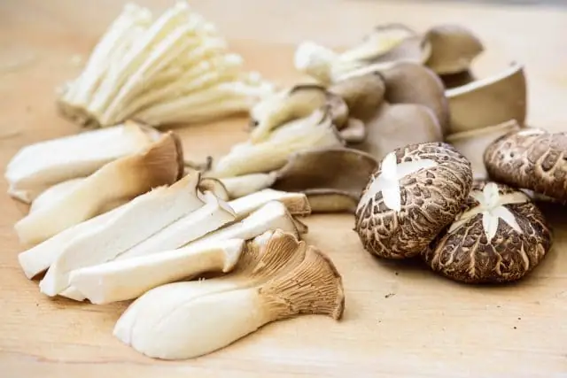 Hướng Dẫn Chi Tiết Cách Nấu Lẩu Nấm Hàn Quốc Thơm Ngon