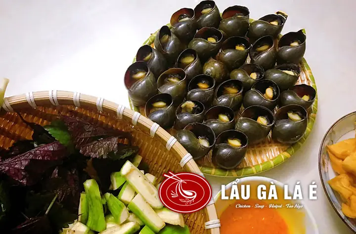 Cách Nấu Lẩu Ốc Chuối Đậu Thơm Ngon Đậm Đà Chuẩn Vị?