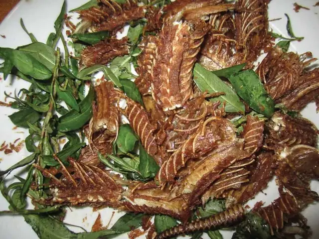 Cách Nấu Lẩu Rắn Hổ Hành Thơm Ngon Chuẩn Vị Tại Nhà