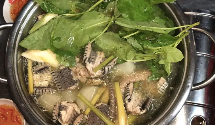 Cách Nấu Lẩu Rắn Mồng Tơi Chuẩn Vị, Đậm Đà Hấp Dẫn