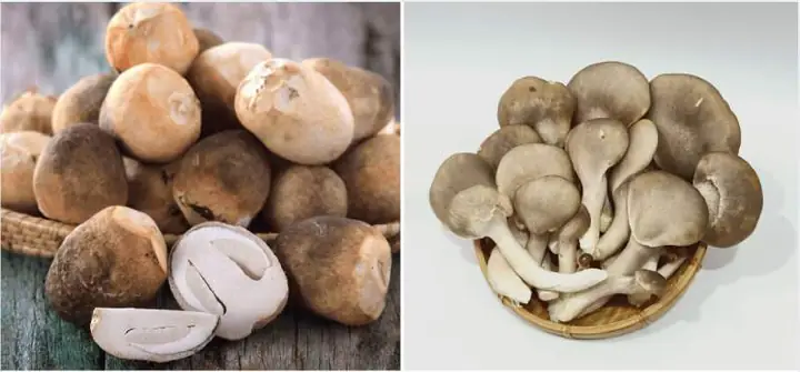 Hướng Dẫn Cách Nấu Lẩu Tiêu Xanh Chay Chuẩn Vị Tại Nhà