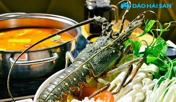 Hướng Dẫn Nấu Lẩu Tôm Hùm Alaska Chuẩn Vị Tại Nhà
