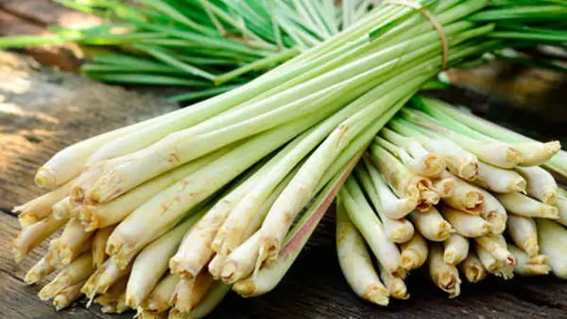 cách nấu lòng bò mềm