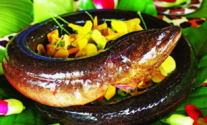 1.Những nguyên liệu cần chuẩn bị để nấu món lươn xào lăn