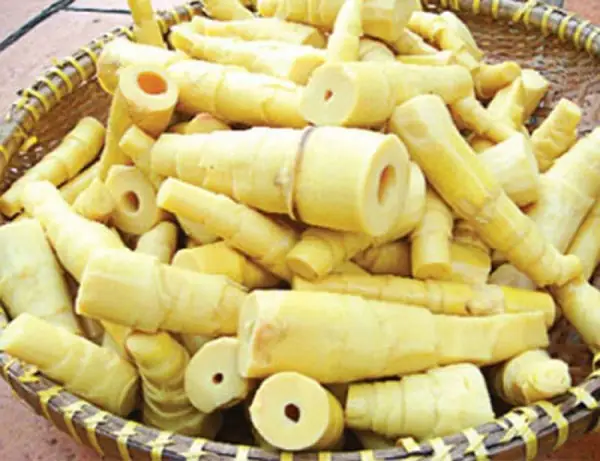 Cách nấu măng tươi ngon: Bí quyết từ A đến Z cho món ăn chuẩn vị