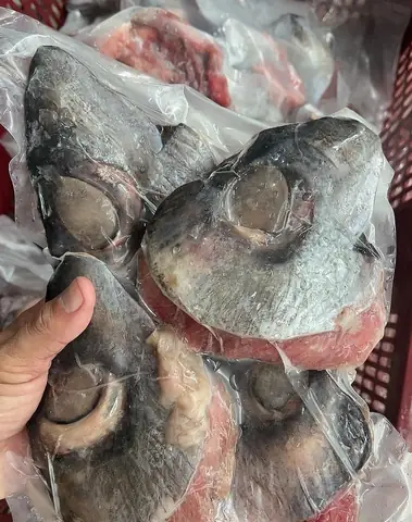 Cách Nấu Mắt Cá Ngừ Đại Dương Tiềm Thuốc Bắc Thơm Ngon, Bổ Dưỡng Cách Nấu Mắt Cá Ngừ Đại Dương Tiềm Thuốc Bắc Thơm Ngon, Bổ Dưỡng