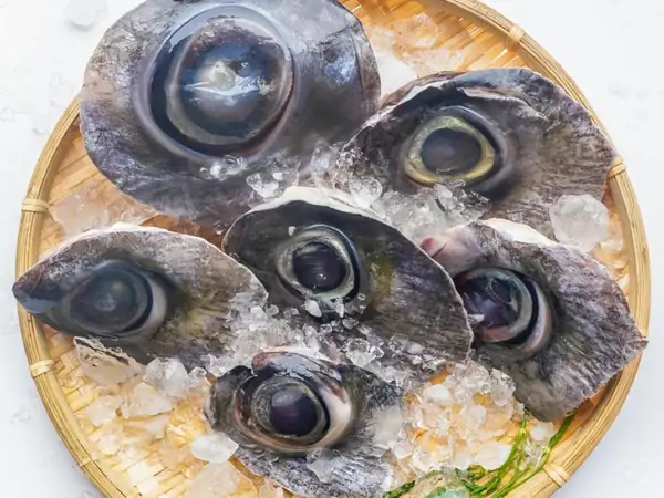 Cách Nấu Mắt Cá Ngừ Hầm Thuốc Bắc Ngon, Chuẩn Vị Tại Nhà