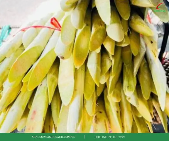 Cách Nấu Mật Mía Ngon Đơn Giản Tại Nhà, Chuẩn Vị Truyền Thống