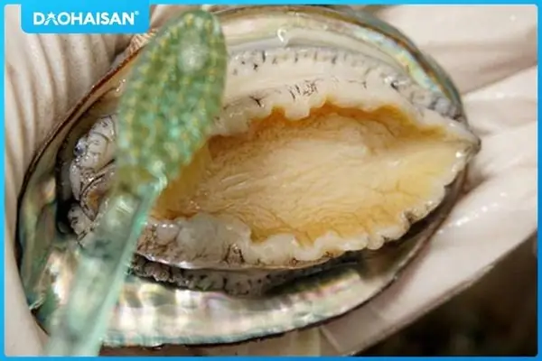 Làm Thế Nào Để Nấu Mì Bào Ngư Thơm Ngon Chuẩn Vị Tại Nhà?