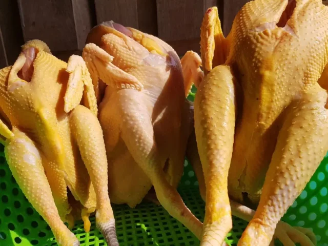 cách nấu mì quảng gà