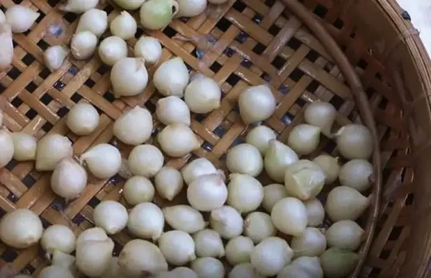 cách nấu mì quảng tôm thịt