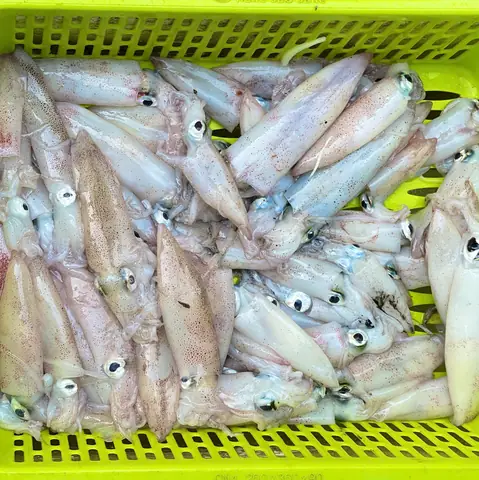 Cách Nấu Mì Tôm Với Mực Ngon Chuẩn Vị Tại Nhà Đơn Giản Nhất