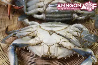 Hướng Dẫn Chi Tiết Cách Nấu Miến Cua Ngon Nhất