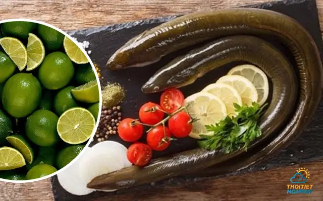 Hướng dẫn cách nấu miến lươn Nghệ An