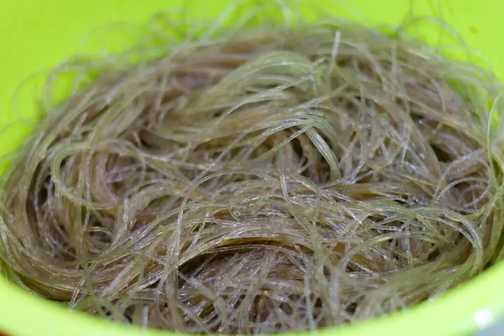 Hướng Dẫn Chi Tiết Cách Nấu Miến Lươn Xào Thơm Ngon