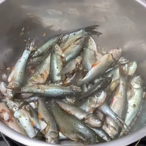 Hướng Dẫn Cách Nấu Cá Linh Kho Me Tại Nhà Đơn Giản Nhất Hướng Dẫn Cách Nấu Cá Linh Kho Me Tại Nhà Đơn Giản Nhất