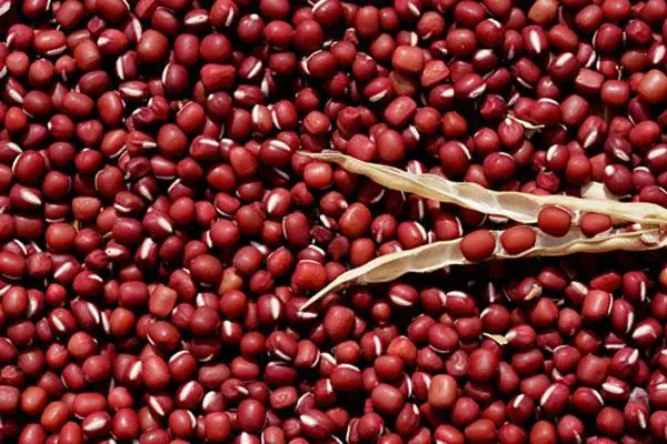 Cách nấu món chay thực dưỡng: 10 công thức đơn giản tại nhà