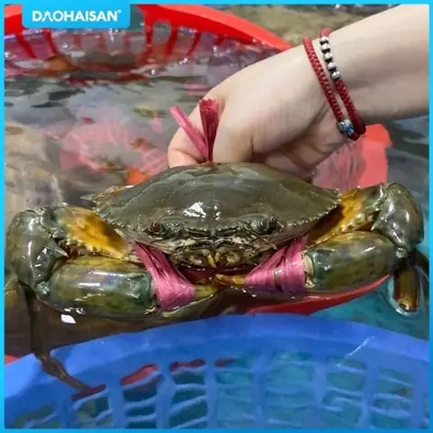 Cách Nấu Món Cua Sốt Ớt Singapore Chuẩn Vị Tại Nhà