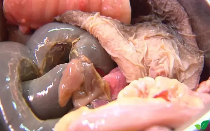 Cách Nấu Món Nậm Pịa Chuẩn Vị Tây Bắc Đơn Giản Tại Nhà