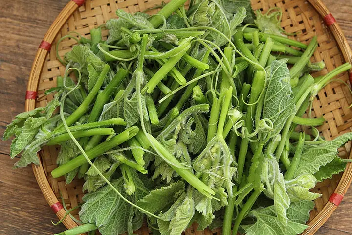 20+ Cách Nấu Món Ngon Dễ Làm Tại Nhà Ngay Hôm Nay