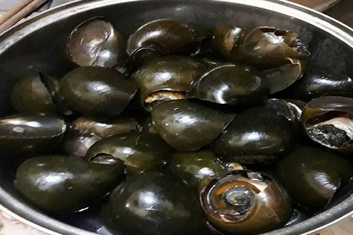 Cách Nấu Ốc Nhồi Om Mẻ Tại Nhà Thơm Ngon, Chuẩn Vị