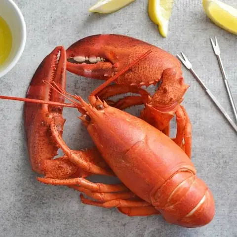 Cách Nấu Món Tôm Ngon: Hướng Dẫn Chi Tiết Từ A Đến Z