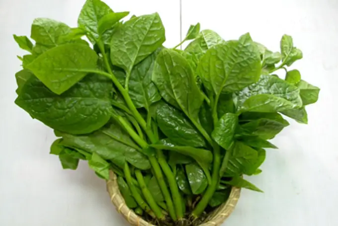 Cách Nấu Mồng Tơi Xào Tỏi Thơm Ngon, Xanh Mướt Chuẩn Vị