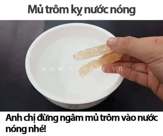 Cách Nấu Mủ Trôm Hạt Sen Thanh Mát Và Bổ Dưỡng Cho Gia Đình
