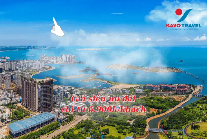 Tổng hợp cách nấu mực 1 nắng ngon, dễ làm tại nhà Tổng hợp cách nấu mực 1 nắng ngon, dễ làm tại nhà