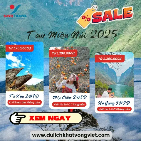 Tổng hợp cách nấu mực 1 nắng ngon, dễ làm tại nhà Tổng hợp cách nấu mực 1 nắng ngon, dễ làm tại nhà