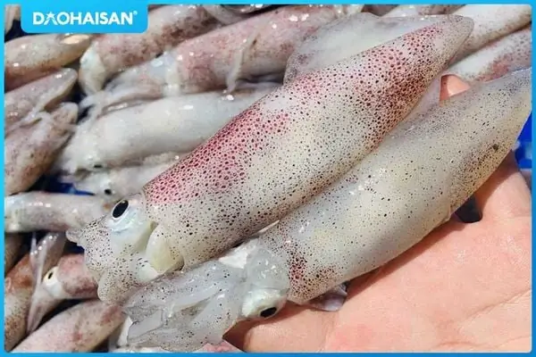 Cách Nấu Mực Xào Thập Cẩm Ngon Chuẩn Vị, Giòn Ngọt Đậm Đà