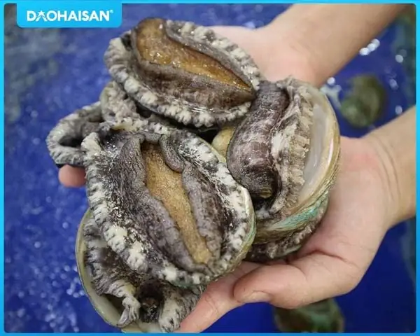 Cách Nấu Nấm Bào Ngư Xào Tỏi Thơm Ngon Đơn Giản Tại Nhà Cách Nấu Nấm Bào Ngư Xào Tỏi Thơm Ngon Đơn Giản Tại Nhà