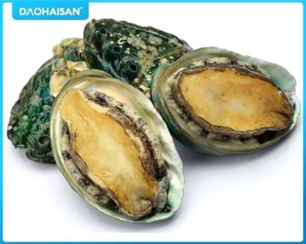 Hướng Dẫn Cách Nấu Nấm Đông Cô Ngon Miệng Và Đầy Dinh Dưỡng Hướng Dẫn Cách Nấu Nấm Đông Cô Ngon Miệng Và Đầy Dinh Dưỡng