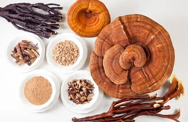 cách nấu nấm linh chi