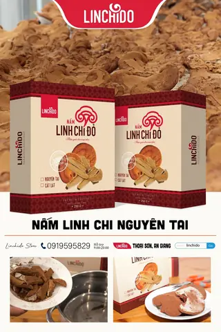 Hướng Dẫn Chi Tiết Cách Nấu Nấm Linh Chi Hàn Quốc Chuẩn Vị