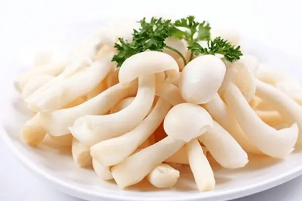 Cách sử dụng Nấm Linh Chi Trắng tươi