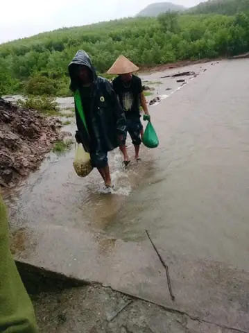 Cách nấu nấm tràm xào rau muống ngon miệng, chuẩn vị