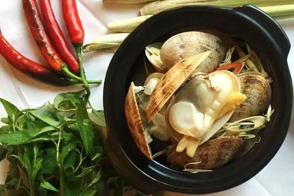 Hướng Dẫn Cách Nấu Ngao 2 Vòi Thơm Ngon Đơn Giản Tại Nhà