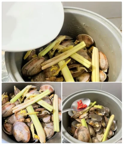 cách nấu nghêu hấp sả