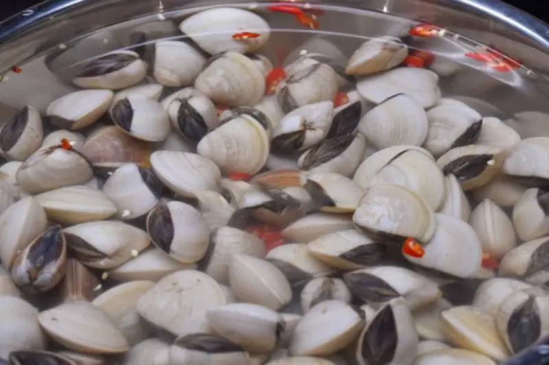 cách nấu nghêu hấp thái cách nấu nghêu hấp thái