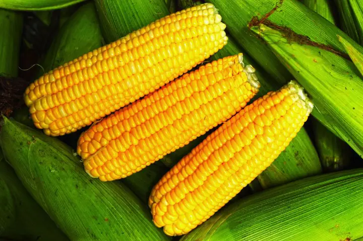 Cách nấu ngô ngọt cho bé ăn dặm đúng chuẩn