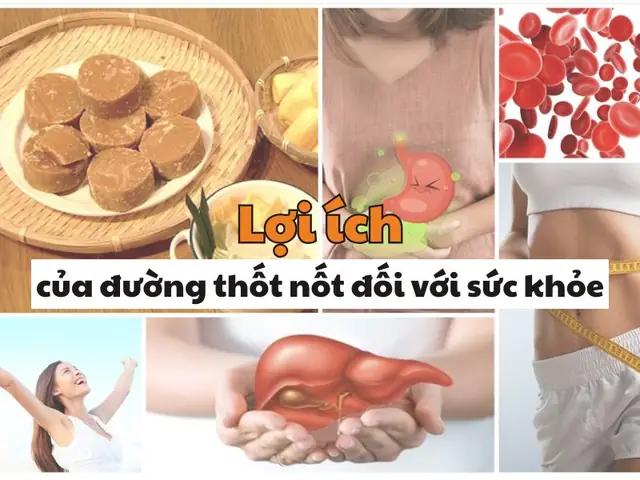 Cách Nấu Nha Đam Đường Thốt Nốt Thanh Mát Giải Nhiệt Tại Nhà